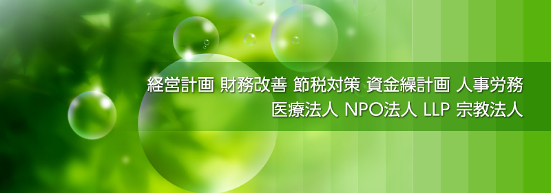 経営計画 財務改善 節税対策 資金繰計画 人事労務 医療法人 ＮＰＯ法人 ＬＬＰ 宗教法人